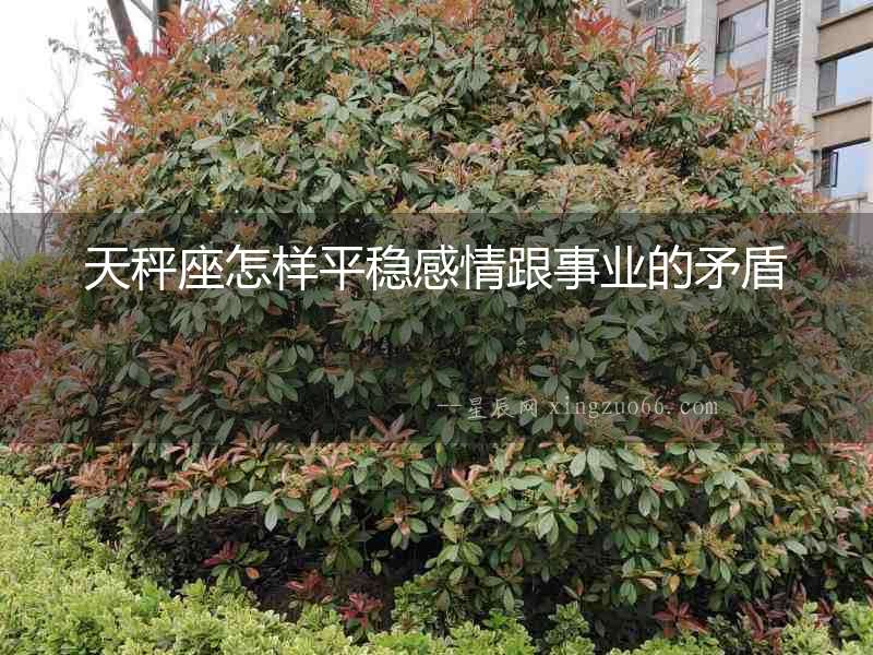 天秤座怎樣平穩感情跟事業的矛盾