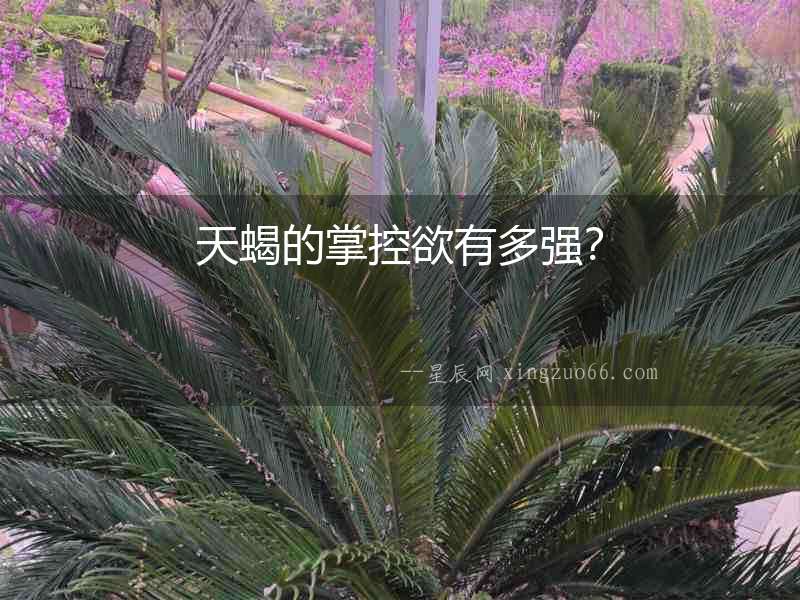 天蝎的掌控欲有多強？