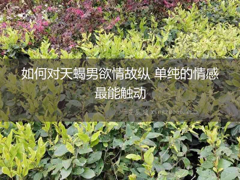 如何對(duì)天蝎男欲情故縱 單純的情感最能觸動(dòng)