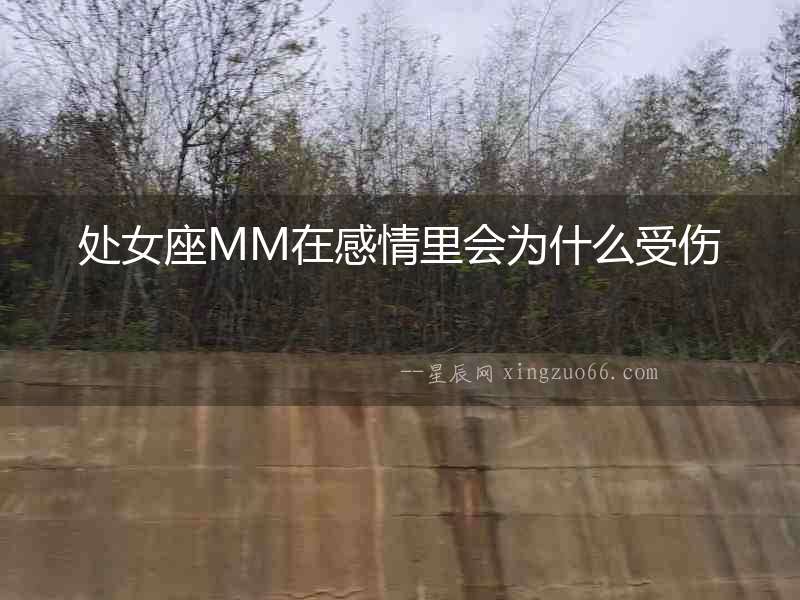 處女座MM在感情里會(huì)為什么受傷