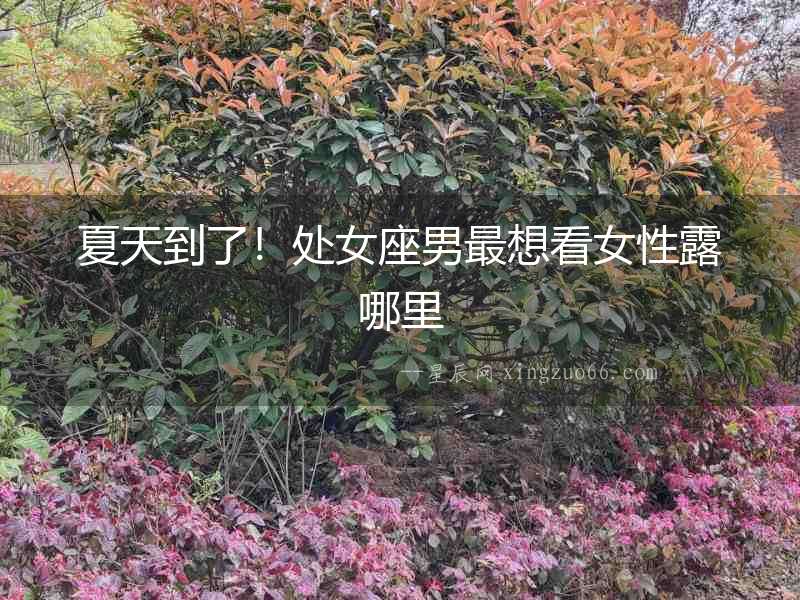 夏天到了！處女座男最想看女性露哪里
