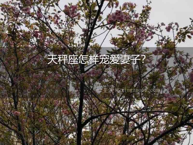 天秤座怎樣寵愛妻子？