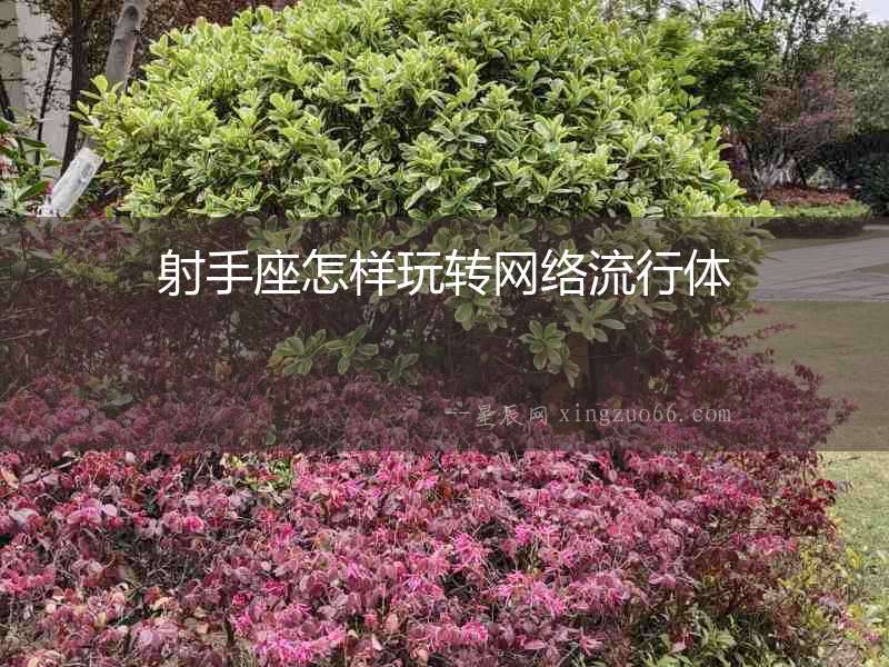 射手座怎樣玩轉網絡流行體