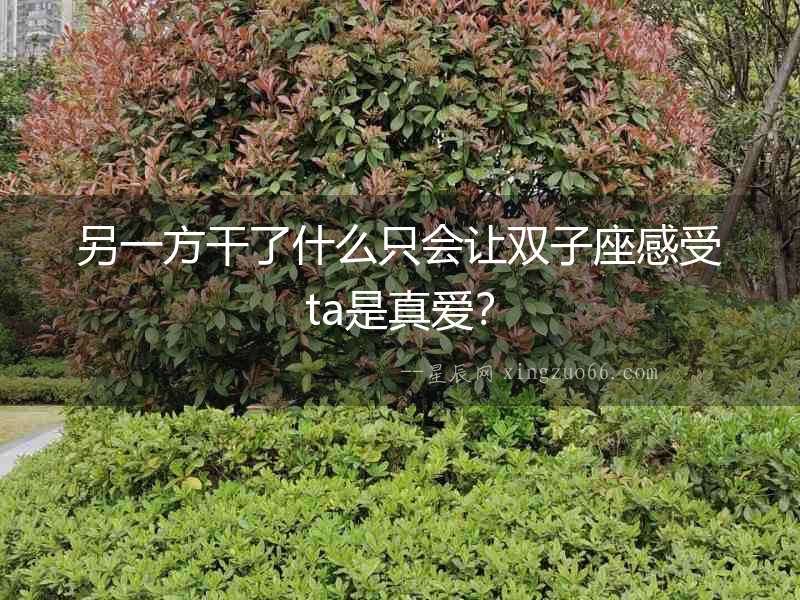 另一方干了什么只會(huì)讓雙子座感受ta是真愛？