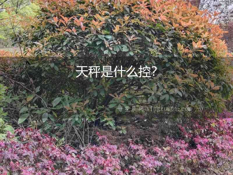 天秤是什么控？