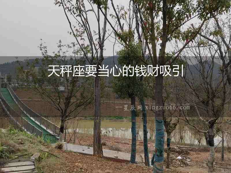 天秤座要當心的錢財吸引