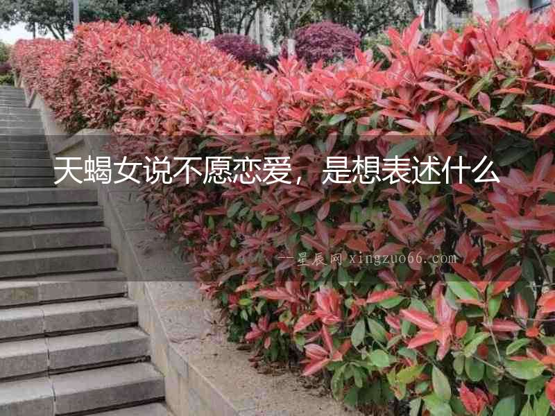 天蝎女說不愿戀愛，是想表述什么