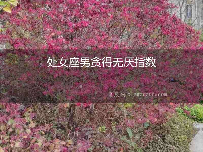 處女座男貪得無厭指數(shù)