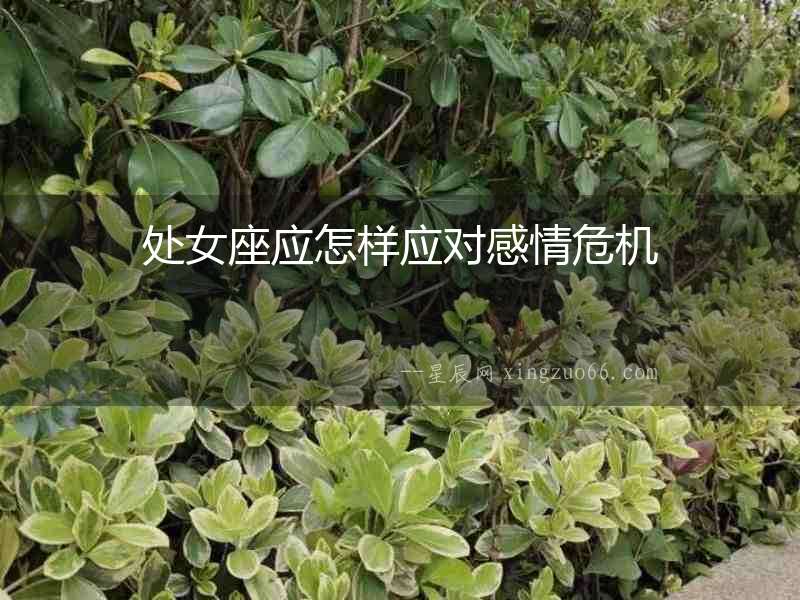 處女座應(yīng)怎樣應(yīng)對感情危機(jī)