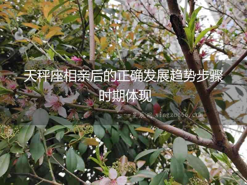 天秤座相親后的正確發(fā)展趨勢步驟 時期體現