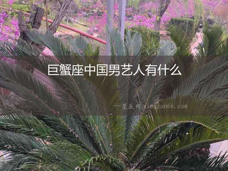 巨蟹座中國(guó)男藝人有什么