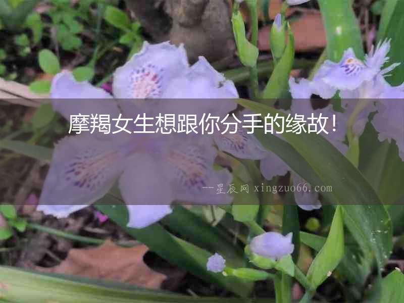 摩羯女生想跟你分手的緣故！