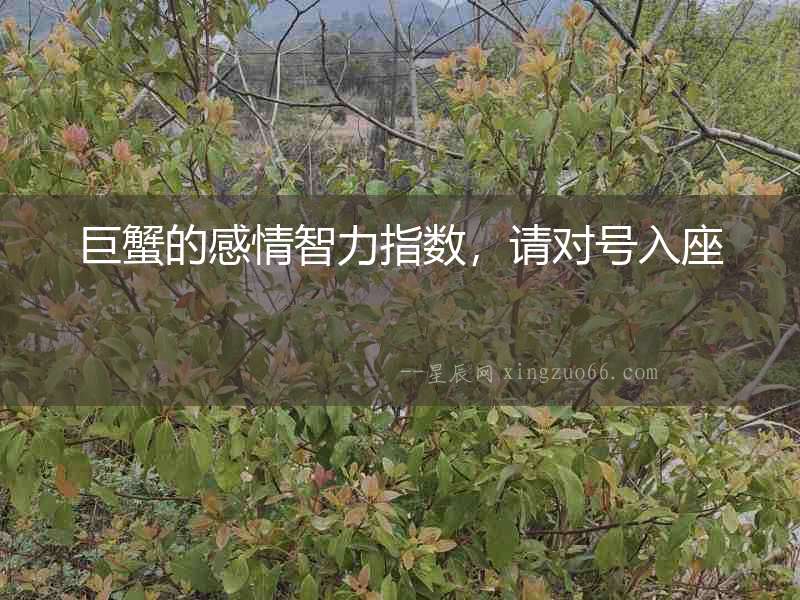 巨蟹的感情智力指數，請對號入座