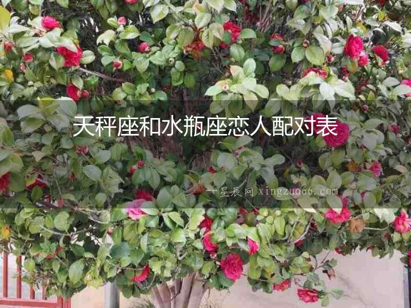 天秤座和水瓶座戀人配對表