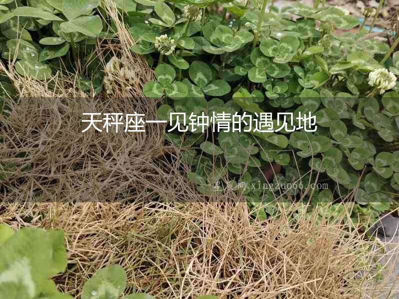 天秤座一見鐘情的遇見地