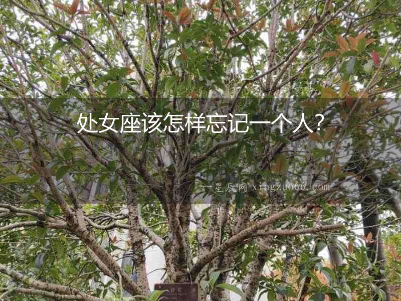 處女座該怎樣忘記一個人？