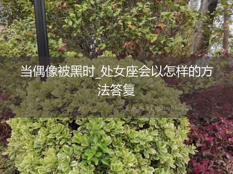 當(dāng)偶像被黑時(shí)_處女座會(huì)以怎樣的方法答復(fù)