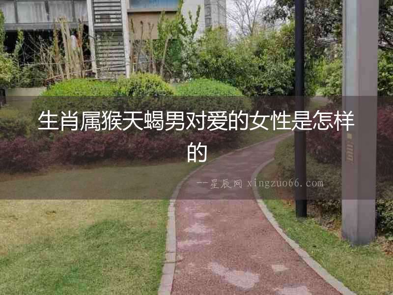 生肖屬猴天蝎男對(duì)愛(ài)的女性是怎樣的
