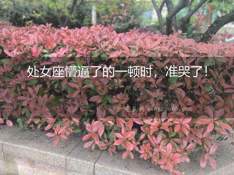 處女座懵逼了的一頓時(shí)，準(zhǔn)哭了！