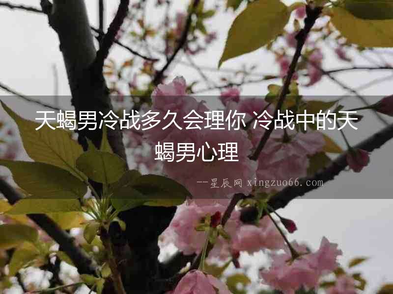 天蝎男冷戰(zhàn)多久會(huì)理你 冷戰(zhàn)中的天蝎男心理