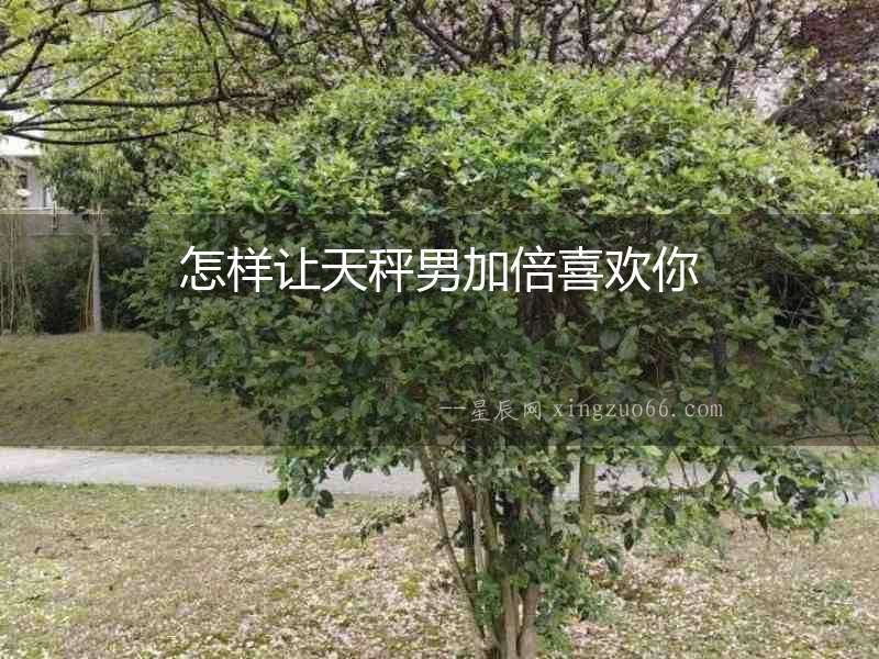 怎樣讓天秤男加倍喜歡你