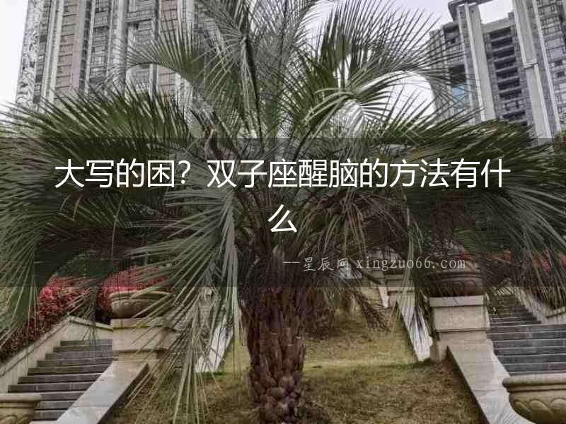 大寫的困？雙子座醒腦的方法有什么