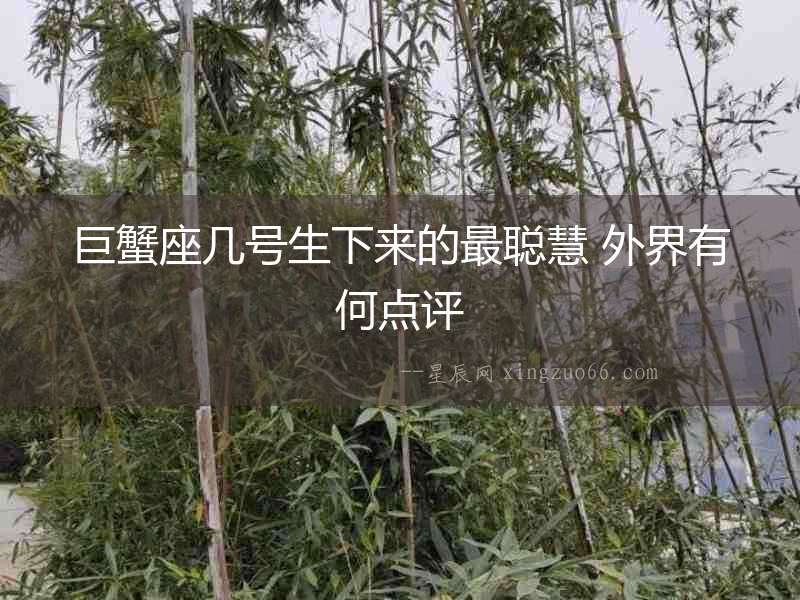 巨蟹座幾號生下來的最聰慧 外界有何點評
