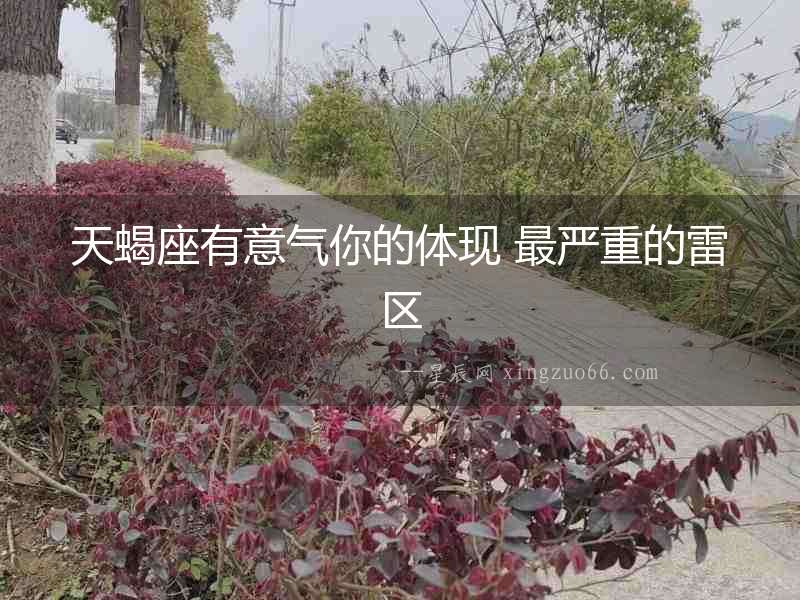 天蝎座有意氣你的體現(xiàn) 最嚴(yán)重的雷區(qū)