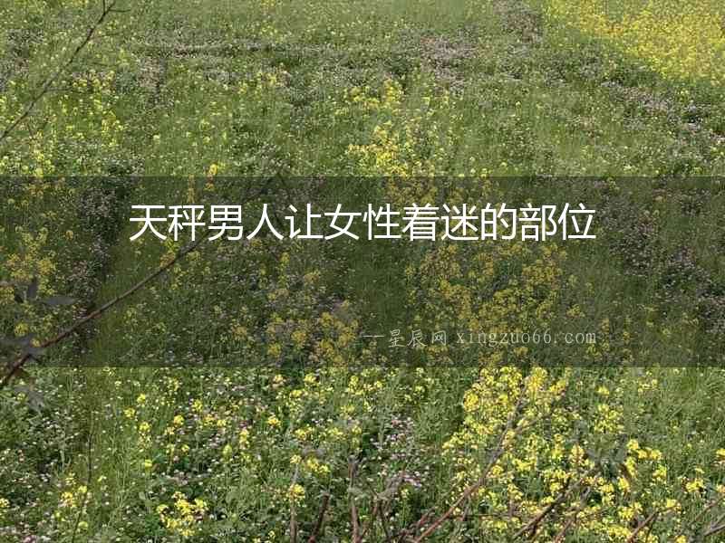 天秤男人讓女性著迷的部位
