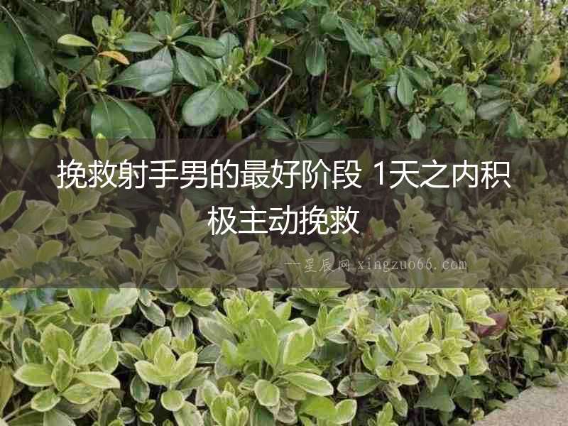 挽救射手男的最好階段 1天之內(nèi)積極主動挽救