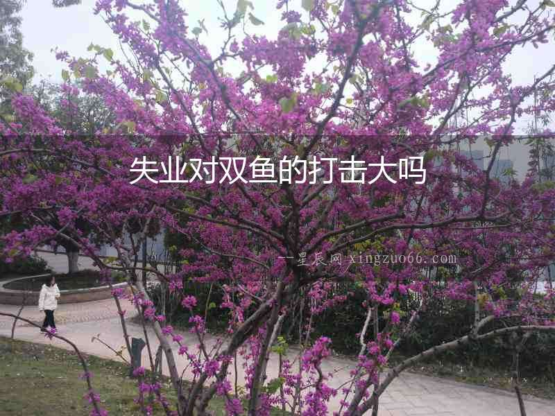 失業(yè)對雙魚的打擊大嗎