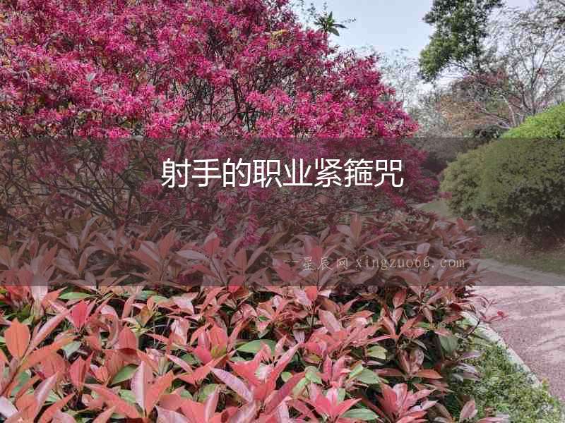 射手的職業緊箍咒