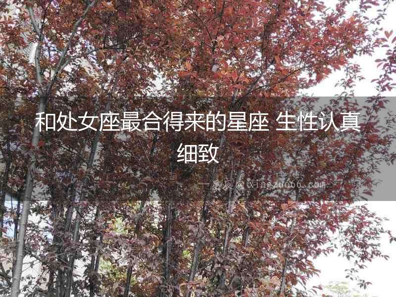 和處女座最合得來的星座 生性認真細致