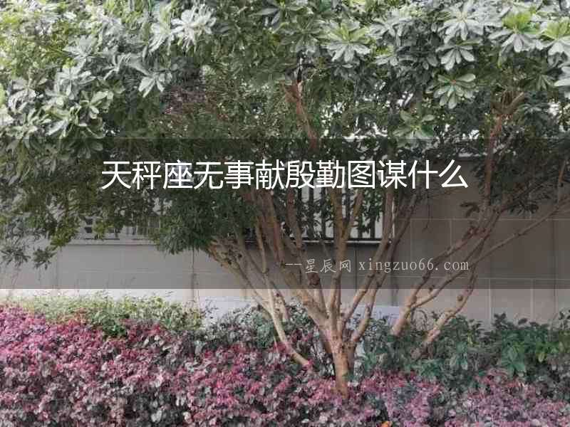 天秤座無事獻殷勤圖謀什么