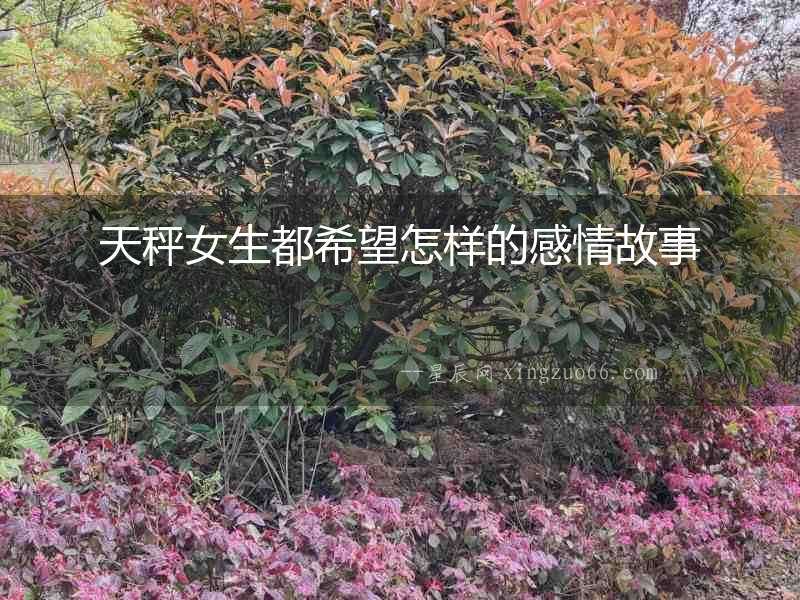 天秤女生都希望怎樣的感情故事