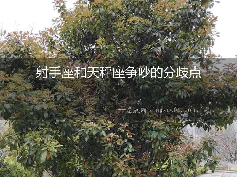 射手座和天秤座爭吵的分歧點(diǎn)