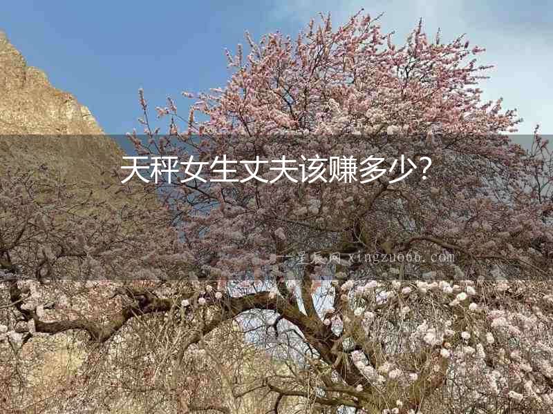 天秤女生丈夫該賺多少？