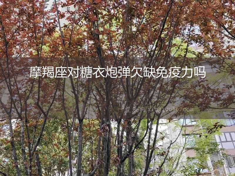 摩羯座對(duì)糖衣炮彈欠缺免疫力嗎