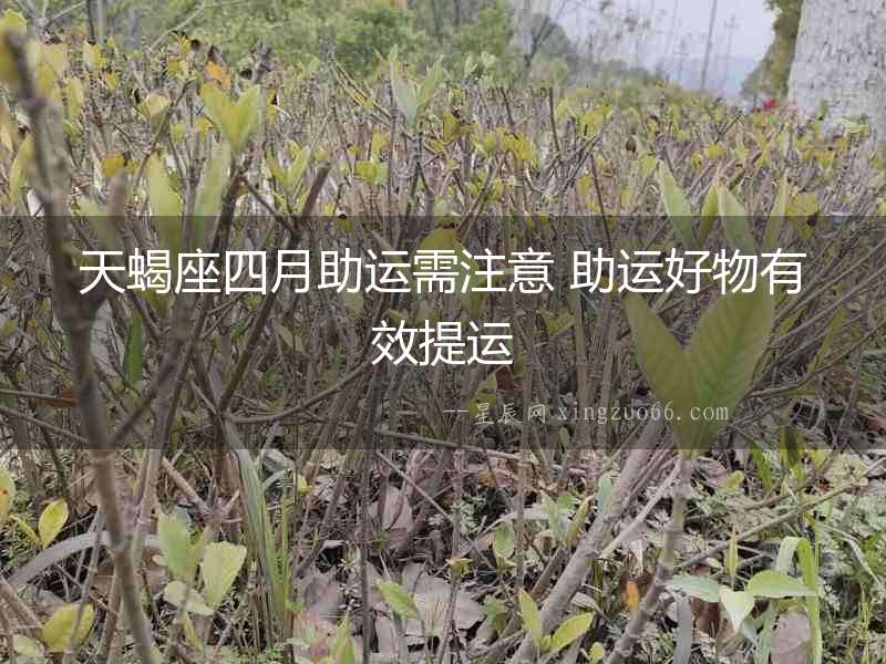 天蝎座四月助運需注意 助運好物有效提運
