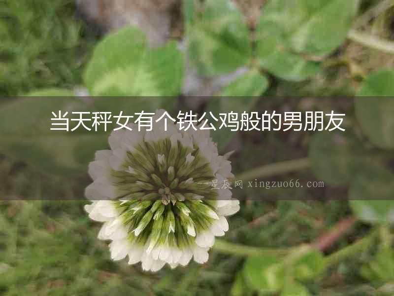 當天秤女有個鐵公雞般的男朋友