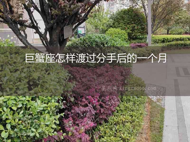 巨蟹座怎樣渡過分手后的一個(gè)月