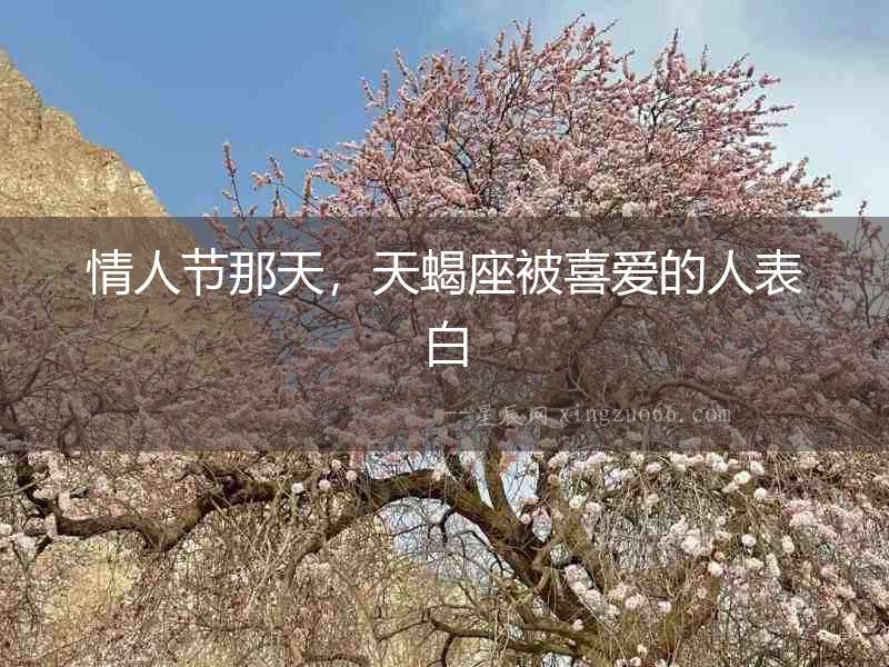 情人節那天，天蝎座被喜愛的人表白
