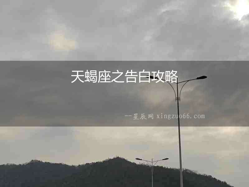 天蝎座之告白攻略