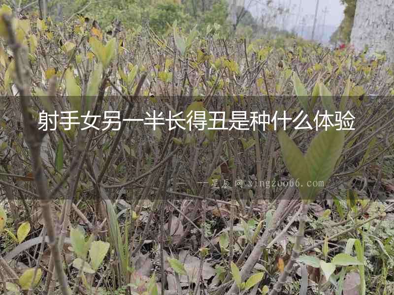 射手女另一半長得丑是種什么體驗