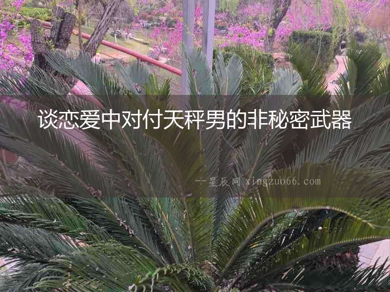 談戀愛中對付天秤男的非秘密武器