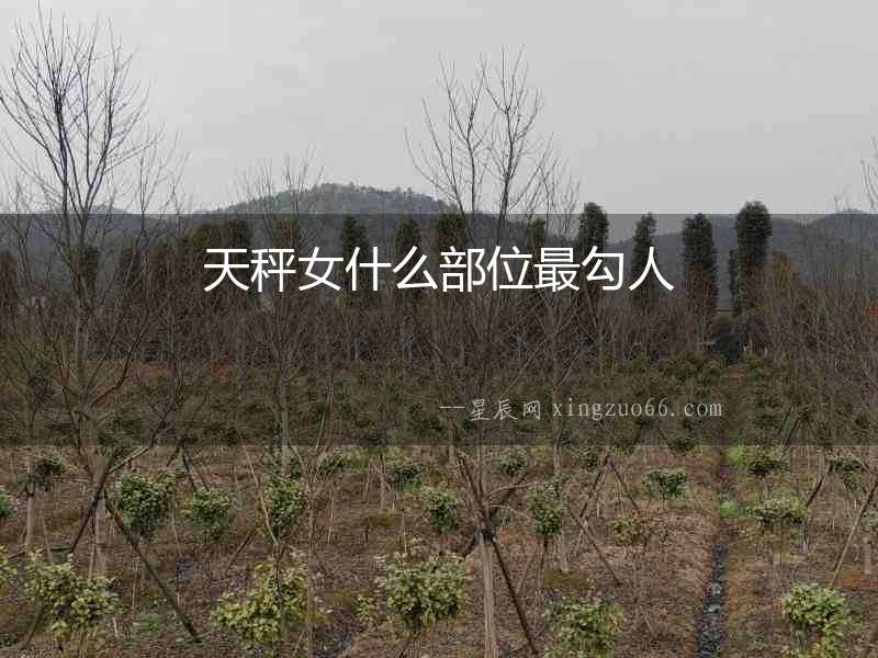 天秤女什么部位最勾人