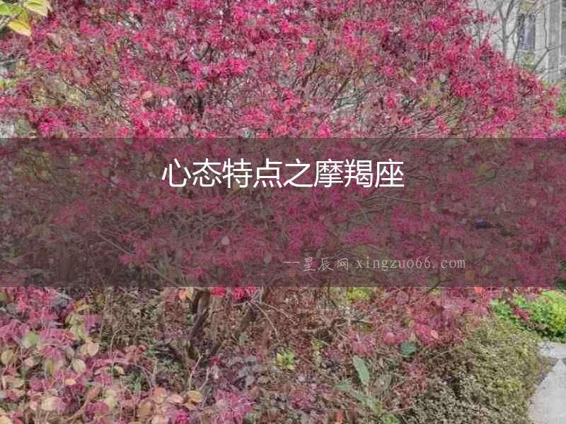 心態(tài)特點之摩羯座