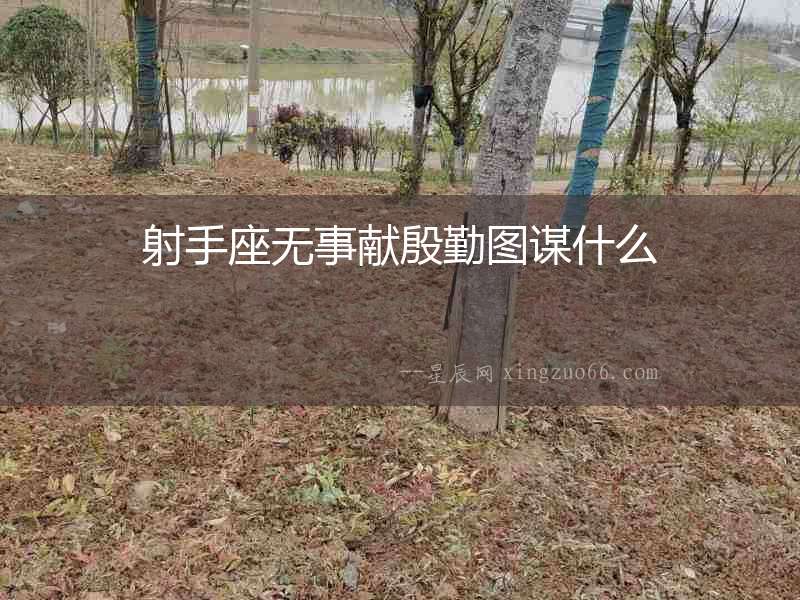 射手座無事獻(xiàn)殷勤圖謀什么