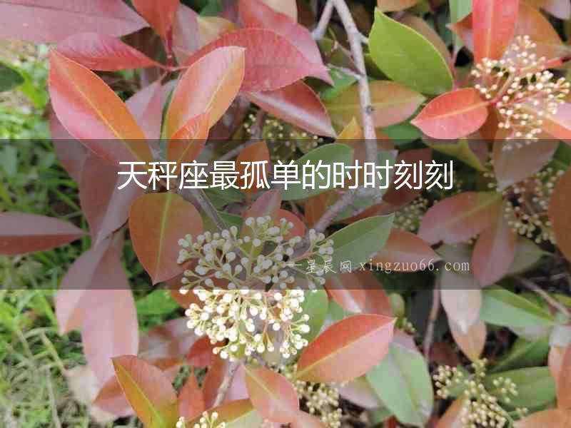 天秤座最孤單的時時刻刻