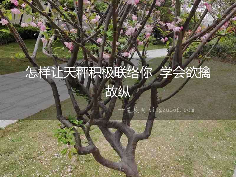 怎樣讓天秤積極聯(lián)絡(luò)你  學(xué)會欲擒故縱
